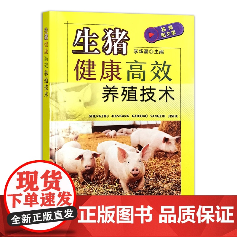 生猪健康高效养殖技术 李华磊主编 9787109322349 视频图文版生猪饲养技术大全养猪图书