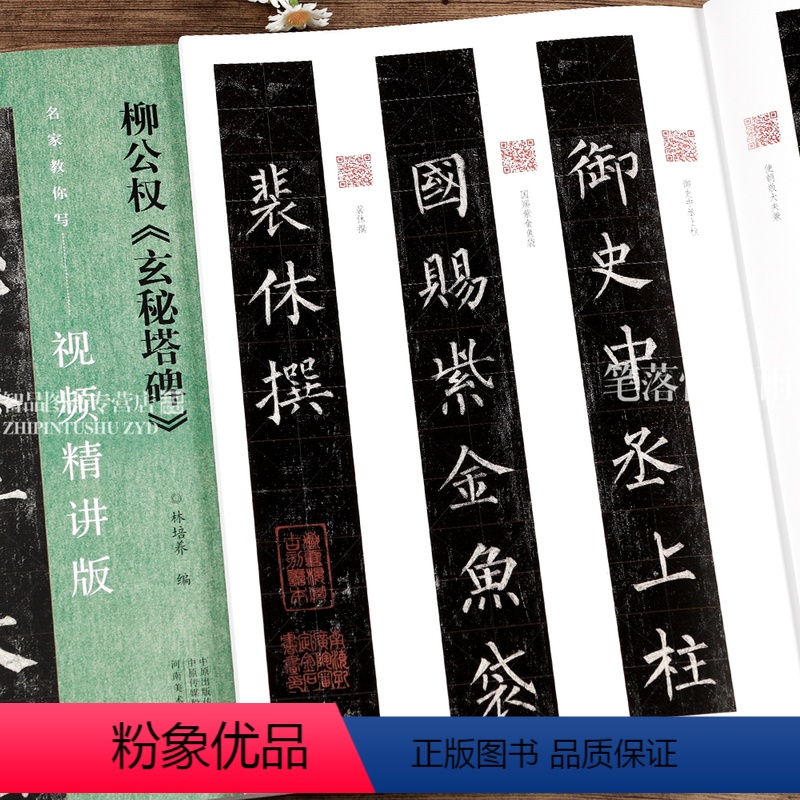 [正版]柳公权玄秘塔碑 名家教你写视频精讲版 柳体楷书碑帖简体释文通临教程书法初学者辅导班用书入门基础字帖 河南美术出