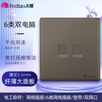飞雕(FEIDIAO)超薄大板 开关插座格韵系列86型带开关插座面板墙壁电源插座 格韵荧光灰二位电脑插