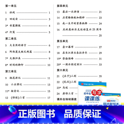8下 语文 课课练 [正版] 初中生练字帖国一语文字帖上册下册同步人教版衡水体英语字帖正楷书法练字本每日一练临摹硬笔字帖