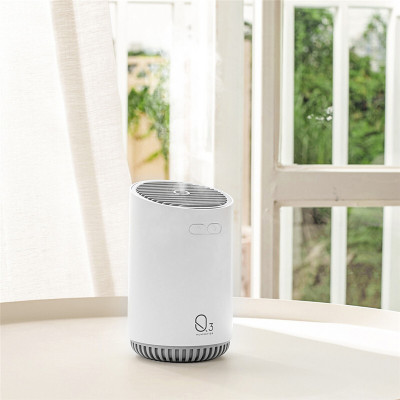 林檎公司周年庆纪念品奖品年会礼品定制logo送客户员工生日实用抖音同款迷你加湿器商务伴手礼感恩节送女朋友老婆生日礼物送女