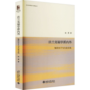 法兰克福学派内外:知识分子与大众文化