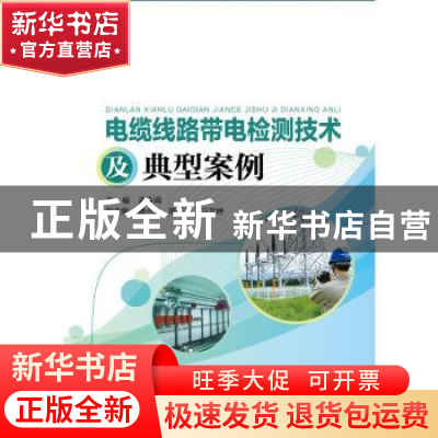 正版 电缆线路带电检测技术及典型案例 孟令闻主编 中国电力出版