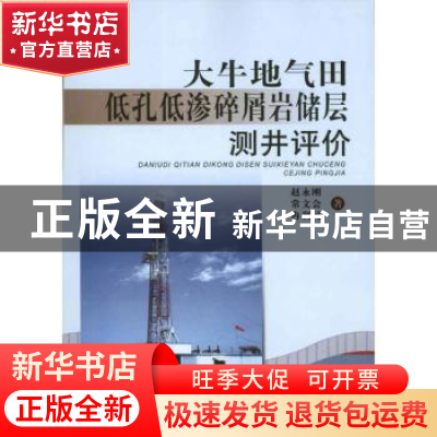正版 大牛地气田低孔低渗碎屑岩储层测井评价 赵永刚,常文会,冉