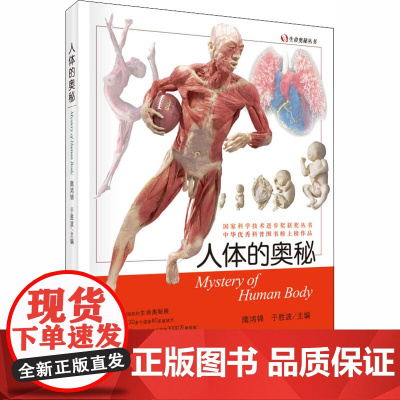 人体的奥秘 科学出版社 隋鸿锦,于胜波 编