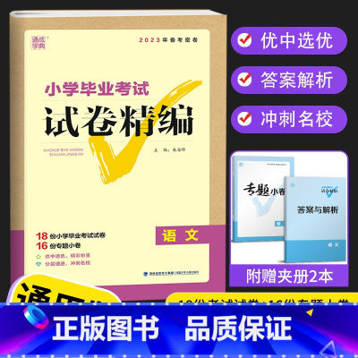语文 小学六年级 [正版]2023新版 通城学典小学毕业考试试卷精编小升初系统总复习 语文数学英语真题模拟试卷人教版六年