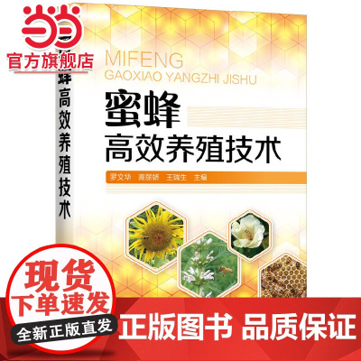 蜜蜂高效养殖技术 罗文华 化学工业出版社 正版书籍