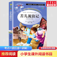 音像苦儿流浪记马洛