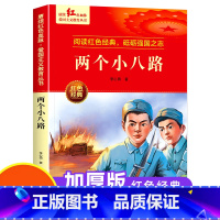 两个小八路 [正版]红色经典书籍小学生 红色革命书籍 小英雄雨来三四五六年级阅读课外书籍 新时代爱国主义教育 抗日英雄的