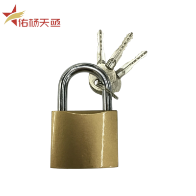 佑杨天亟 铁锁 38mm 把