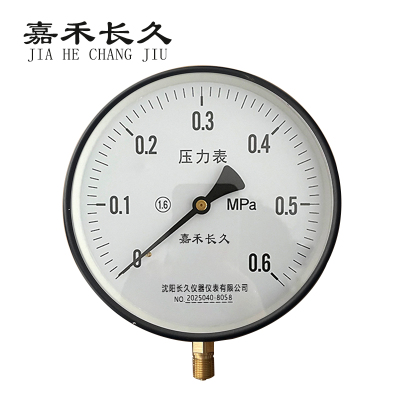 嘉禾长久 压力表检测型 Y250 块