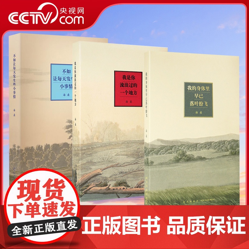 [央视网] 海桑的诗 诗集全三册全套我是你流浪过的一个地方+不如让每天发生些小事情+我的身体里早已落叶纷飞发生点小事情D