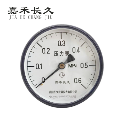 嘉禾长久 轴向压力表检测定制型 Y100Z 块