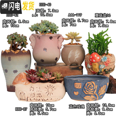 三维工匠多肉花盆陶瓷粗陶透气简约肉肉植物创意复 EEE40-42蘑菇06-AAA119KKK87蓝色玫瑰花盆容器