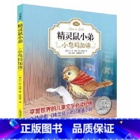 [精灵鼠小弟]小鸟玛加洛 [正版]夏洛的网精灵鼠小弟吹小号的天鹅全套8册注音带拼音小学生儿童故事带拼音英文版EB怀特经典