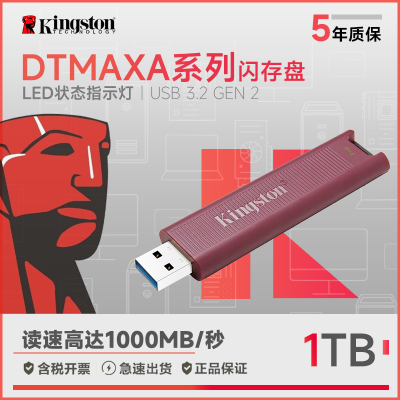 金士顿(Kingston) DTMAXA 高速固态U盘USB3.2移动固态闪存优盘 USB接口1TB