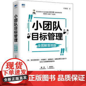 小团队目标管理 全图解落地版 任康磊 著 人力资源经管、励志 正版图书籍 人民邮电出版社