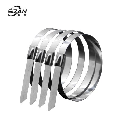 斯赞 304不锈钢扎带自锁式捆绑扎带 4.6*2800mm 100条/包