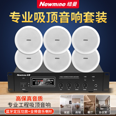 纽曼(Newsmy)功放吸顶音响 R12 6英寸一拖二