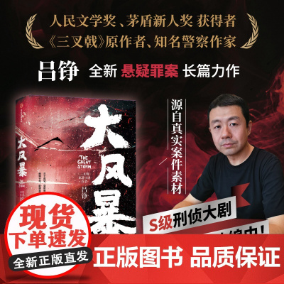 大风暴 吕铮著 人民文学奖作者 三叉戟 源自真实案件素材 长篇力作 中信出版社图书 正版