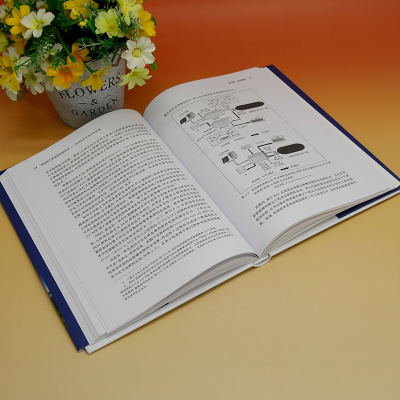 低碳电力系统的创新技术