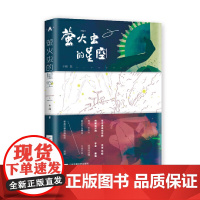萤火虫的星空 中国当代小说 正版书籍