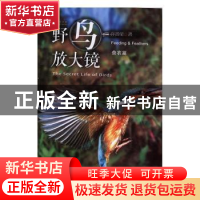 正版 野鸟放大镜:食衣篇:Feeding & feathers 许晋荣著 商务印书