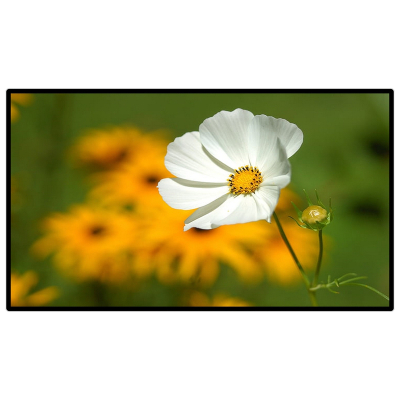 昌裕CY-CK-B1Y21.5 21.5寸win系统壁挂触控一体机