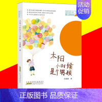 [正版]书籍姗姗来了暖心阅读坊太阳小时候是个男孩李姗姗著漫画化连环画卡通6-8-10岁儿童阅读故事书暖心儿童文学安徽少年