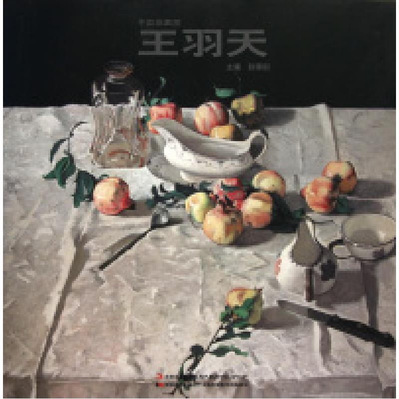正版新书]中国油画家(王羽天)(精)赵锦剑9787538641059