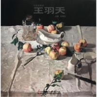 正版新书]中国油画家(王羽天)(精)赵锦剑9787538641059