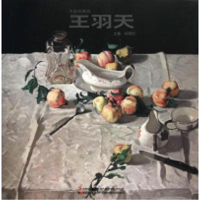 正版新书]中国油画家(王羽天)(精)赵锦剑9787538641059