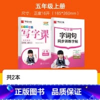 [全2本]五 上 写字课+字词句 [正版]字帖写字课一二三四五六年级上册下册 下上语文英语同步练字帖一年级字帖练字小学生