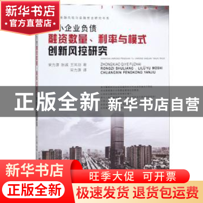 正版 中小企业负债融资数量、利率与模式创新风控研究 宋力源 西