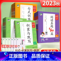 英语·阅读培优集训100篇(全一册) 小学六年级 [正版]2024版53小学基础练语文积累与默写一二年级三年级四年级五年