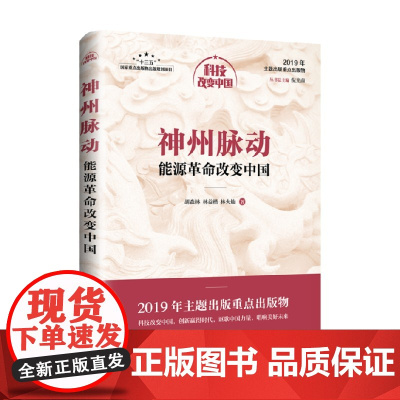 神州脉动 能源革命改变中国 胡森林等 著 经济