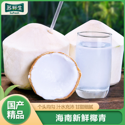[苏鲜生]海南椰青 9个装 新鲜椰子 当季热带水果 汁水充沛