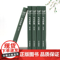 浙江文丛:毛先舒集(全套5册 精装繁体竖排) 研究清初杭州学者毛先舒著作集 了解其藏书与学术思想散文随笔供阅读和研究正版