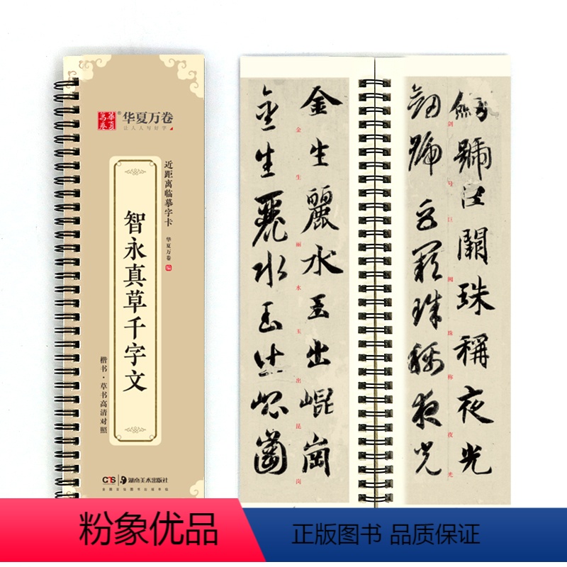 [正版]书籍字帖 近距离临摹字卡 智永真草千字文字帖成人初学者草书钢笔硬笔毛笔临摹书法字帖