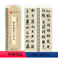 [正版]书籍字帖 近距离临摹字卡 智永真草千字文字帖成人初学者草书钢笔硬笔毛笔临摹书法字帖