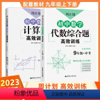 [代数综合题+几何+计算题]3本 全国通用 [正版]周计划初中数学九年级中考代数综合题高效训练答案详解版初三上下册数学专