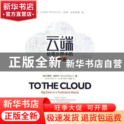 正版 云端:动荡世界中的大数据:big data in a turbulent world