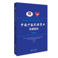 音像中国少数民族事业发展报告(2016)丁宏