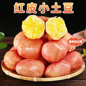 [西沛生鲜]云南红皮小土豆 净重3斤装 中果 单果60-100g 新鲜蔬菜 农家种植