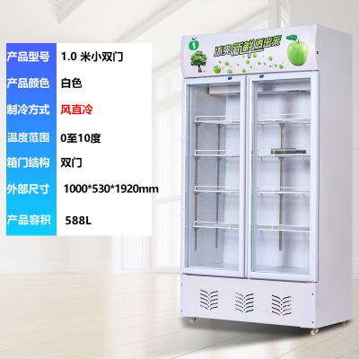  冷藏柜展示柜保鲜柜立式双门铜管切夫曼商用饮料冷饮蔬菜水果柜冰柜_1米双门白色风直冷内有风扇