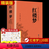 精装四大名著(送人物关系图+考点手册) [正版]精装2册红楼梦和乡土中国高中阅读 费孝通原著高中生课外阅读书籍整本书阅读