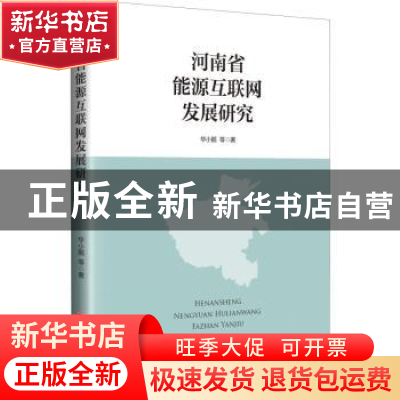 正版 河南省能源互联网发展研究 华小鹏等著 中国经济出版社 9787