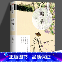 暗香(修订版) [正版] 丁立梅散文作品集全套书籍 丁立梅十年散文集 暗香暖爱遇见 风会记得一朵花香向着美好奔跑等等待绽