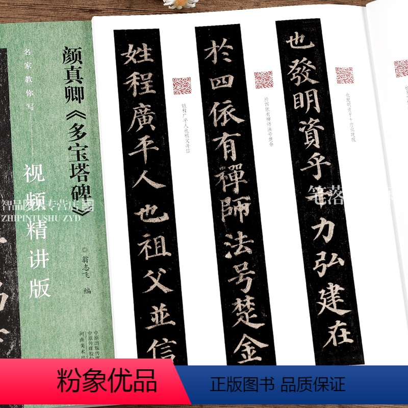 [正版]颜真卿多宝塔碑 名家教你写视频精讲版 颜体楷书碑帖简体释文通临教程书法初学者辅导班用书入门基础字帖 河南美术出
