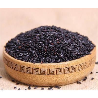 黑米/斤正宗黑米新米小包装东北黑龙江农家自产黑米五谷杂粮新黑米